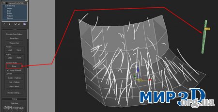 Урок по созданию морских анемон в 3D MAX