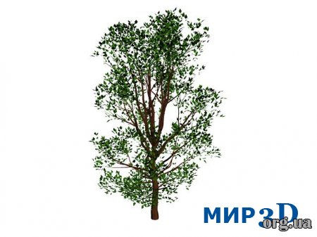 Модель дерева для 3D MAX