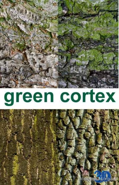 Текстуры коры дерева / cortex textures