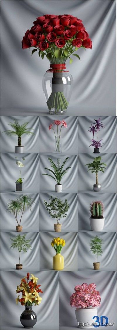 3D Коллекция растений