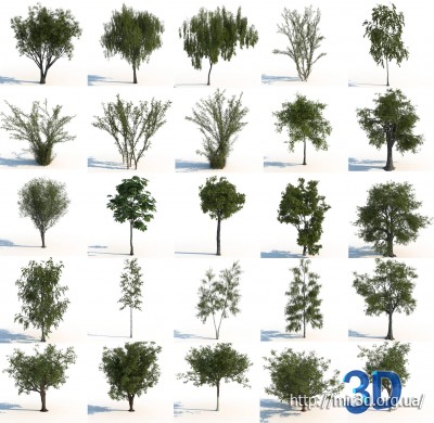 3D Модели.Деревья.