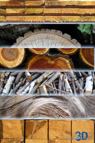 Текстуры срубов, спилов, срезов деревьев