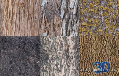 Текстуры древесной коры
