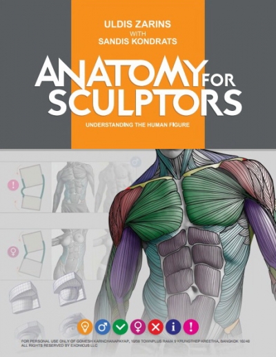 Анатомия для скульпторов / Anatomy for sculptors