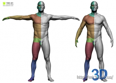 3D модель мужчины / Male Body Scan High Resolution OBJ and ZTL
