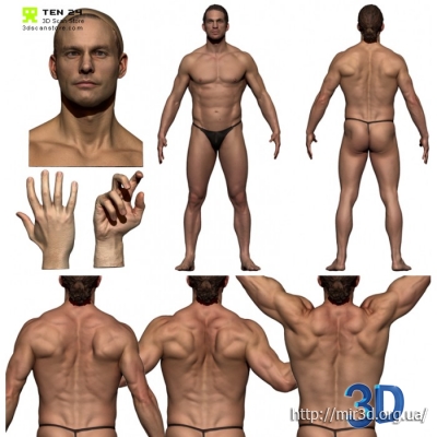 Анатомия мужчины