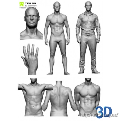 3D Scan Store – Male Anatomy Bundle: детальные 3D модели мужского тела