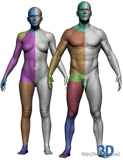 3D Scan Store – Male and Female Base Mesh Bundle: 3D шаблоны женщины и мужчины