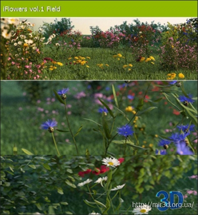 R&D Group – iFlowers vol.1: 3D модели полевых цветов